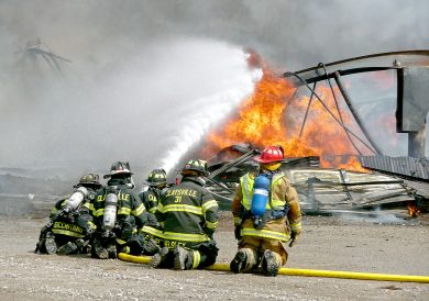 article image -